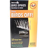 Bird-X - Plastic Bird Spikes - Clear - 10 Linear Feet-Clear Bird-X - Plastic Bird Spikes - Clear - 10 Linear Feet-Clear