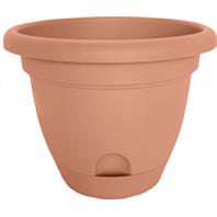 Bloem - Lucca Planter - Terra Cotta - 8 Inch Bloem - Lucca Planter - Terra Cotta - 8 Inch