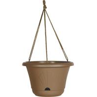 Bloem - Lucca Hanging Basket - Chocolate - 13 Inch Bloem - Lucca Hanging Basket - Chocolate - 13 Inch