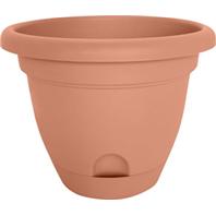 Bloem - Lucca Planter - Terra Cotta - 6 Inch Bloem - Lucca Planter - Terra Cotta - 6 Inch