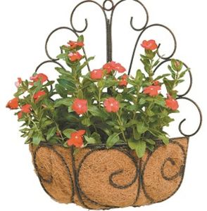 Deer Park Ironworks - Peacock Wall Basket With Coco Liner Deer Park Ironworks - Peacock Wall Basket With Coco Liner