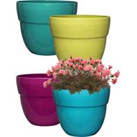 Southern Patio - Augustine Hdr Planter Pallet - Assorted Southern Patio - Augustine Hdr Planter Pallet - Assorted