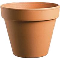 Southern Patio - Standard Clay Pot-Terra Cotta-8 Inch Southern Patio - Standard Clay Pot-Terra Cotta-8 Inch