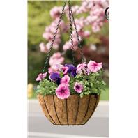 Panacea - Growers Basket-Black-14 Inch Panacea - Growers Basket-Black-14 Inch