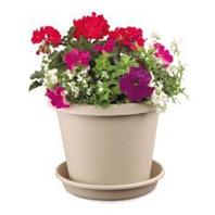 Myers Industries L&Ggroup - Classic Pot - Clay - 6 Inch Myers Industries L&Ggroup - Classic Pot - Clay - 6 Inch