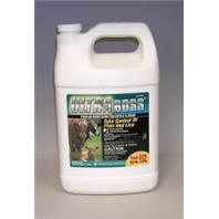 Merck Ah Cattle D - Ultra Boss Pour - On Insecticide For Cattle & Sheep - 1 Gallon Merck Ah Cattle D - Ultra Boss Pour - On Insecticide For Cattle & Sheep - 1 Gallon