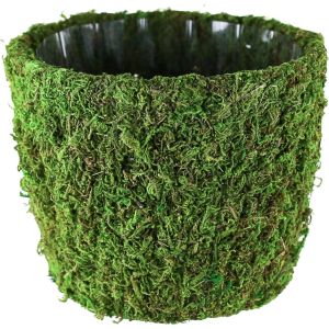 Syndicate Sales - Planter Round Agatha - Green - 7 In Syndicate Sales - Planter Round Agatha - Green - 7 In