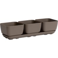 Novelty Mfg - Herb Trio with Attached Tray - Taupe - 4 Inch Novelty Mfg - Herb Trio with Attached Tray - Taupe - 4 Inch