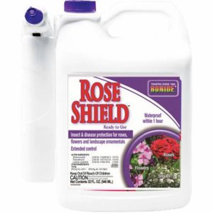 Bonide Products - Rose Shield Ready To Use With Power Sprayer - Gallon Bonide Products - Rose Shield Ready To Use With Power Sprayer - Gallon