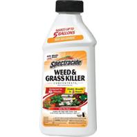 Spectracide - Weed And Grass Concentrate - 16Oz Spectracide - Weed And Grass Concentrate - 16Oz