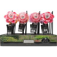 Coleman Cable - Summer Blooms Stake Light Display - Multi - Coleman Cable - Summer Blooms Stake Light Display - Multi -