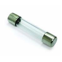 Woodstream Zareba - Zareba Replacement Fuse--1 Amp/5 Pack Woodstream Zareba - Zareba Replacement Fuse--1 Amp/5 Pack