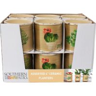 Southern Patio - Ceramic Succulent Bowls Mixed Pdq - 4 Inch Southern Patio - Ceramic Succulent Bowls Mixed Pdq - 4 Inch