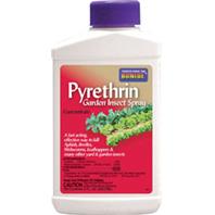 Bonide Products - Liquid Pyrethrin Concentrate--8 Ounce Bonide Products - Liquid Pyrethrin Concentrate--8 Ounce