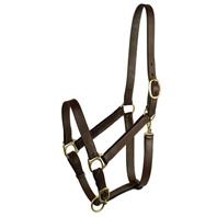 Gatsby Leather - Stable Halter Horse Gatsby Leather - Stable Halter Horse