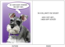 DogTales4You - Harry Brows Card-BIRTHDAY-#59 - 5x7 Inch DogTales4You - Harry Brows Card-BIRTHDAY-#59 - 5x7 Inch