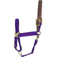 Hamilton Halter Company - Adjustable Horse Halter With Leather Headpole - Purple - Large Hamilton Halter Company - Adjustable Horse Halter With Leather Headpole - Purple - Large